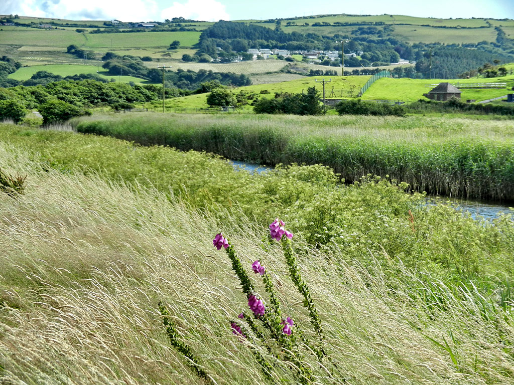 Borth